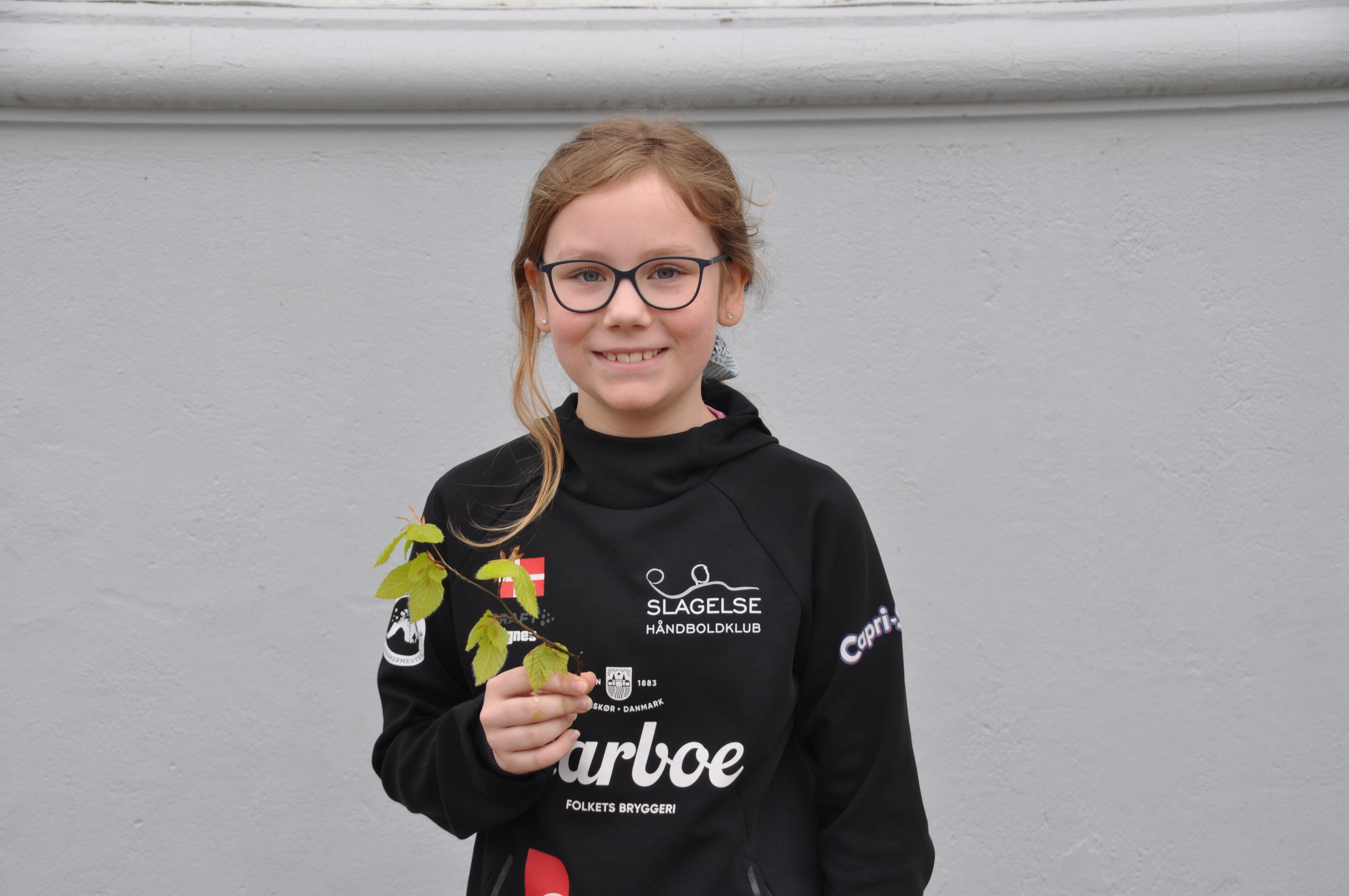 Årets første bøgegren 2023