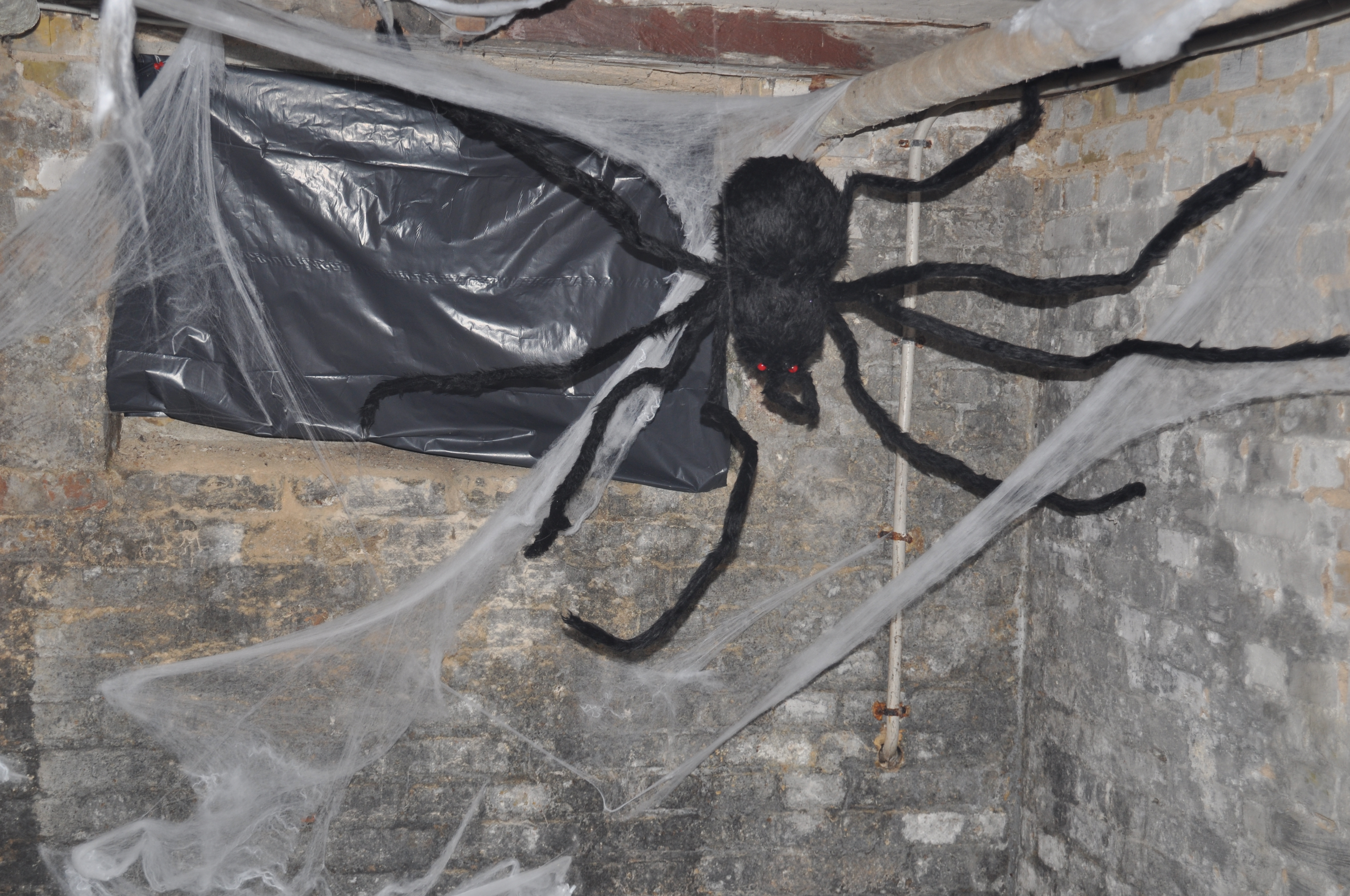 Halloweenfest i Passeren