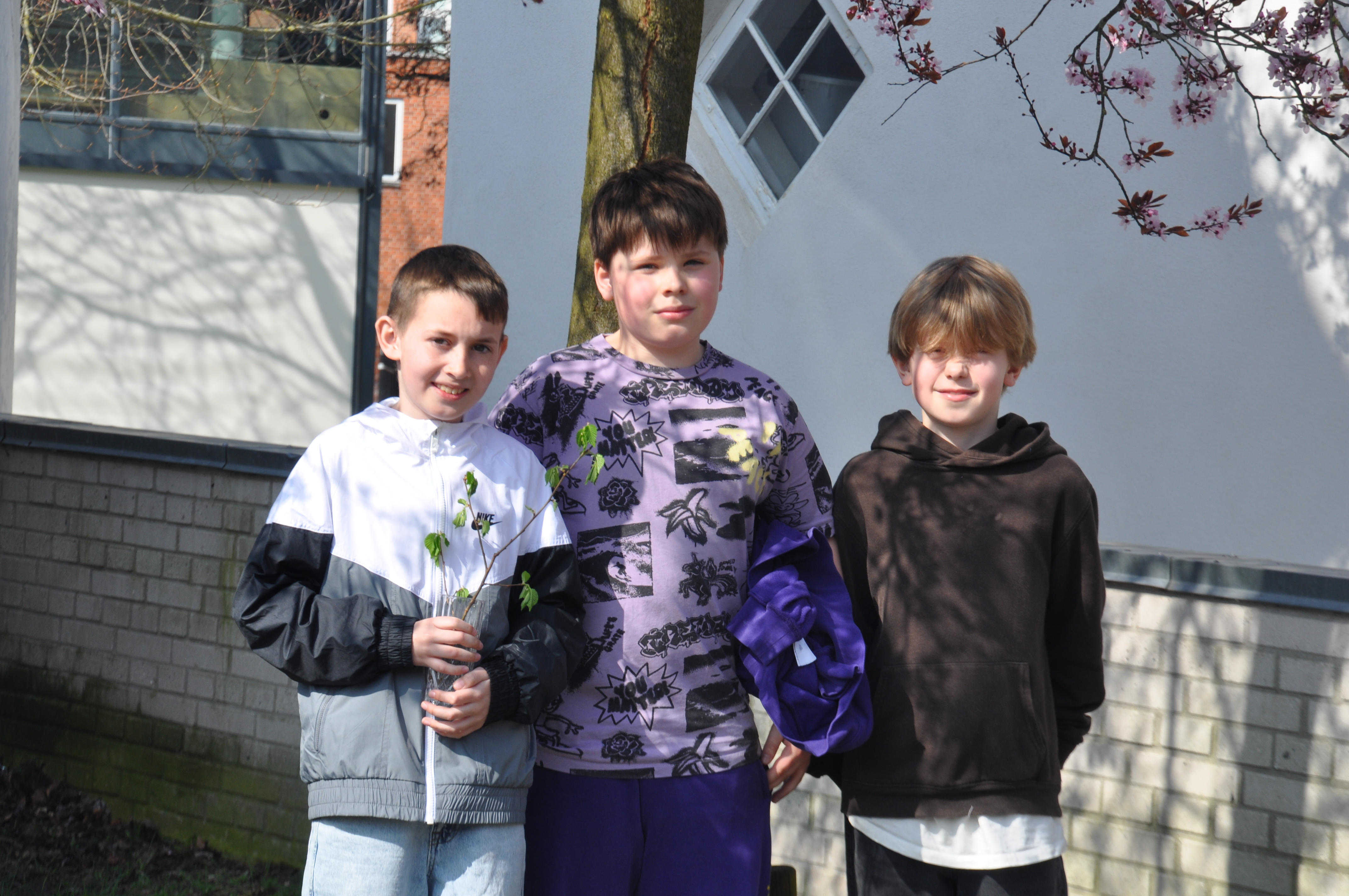 Årets første bøgegren 2026